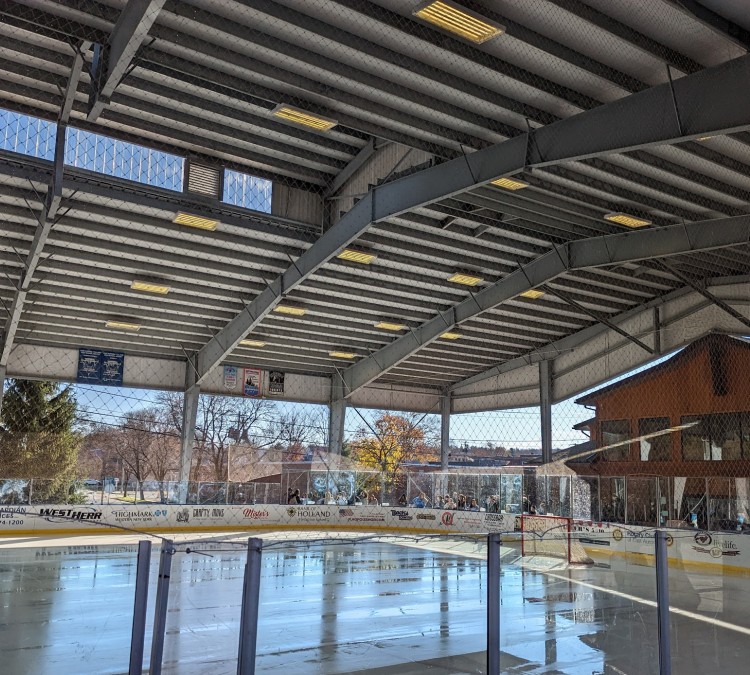 the-healthy-zone-rink-photo